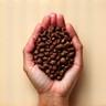 Illustration of a hand holding coffee beans.